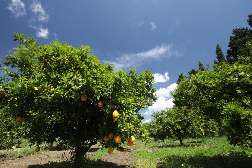 Casa di campagna Sarrabus San Priamo